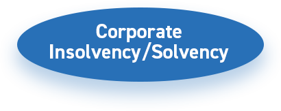 Corporate Insolvency Solvency